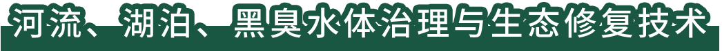 河流、湖泊、黑臭水體治理與生態(tài)修復(fù)技術(shù)