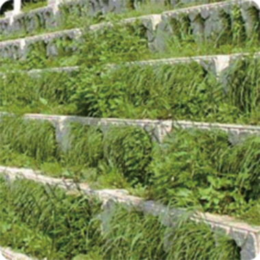 地表水流域綜合治理項(xiàng)目案例