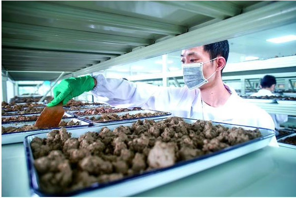 土壤檢測的類別有哪些？