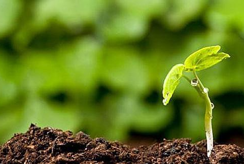 華清環(huán)境：修復(fù)被污染土壤要多長(zhǎng)時(shí)間？