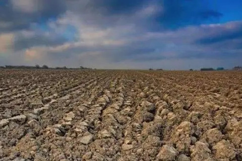 啟動土壤污染狀況調(diào)查的責(zé)任主體