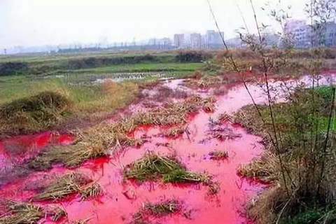 土壤重金屬檢測(cè)的幾種常規(guī)方法