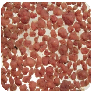 1614735852886618.png 生物菌劑1.png