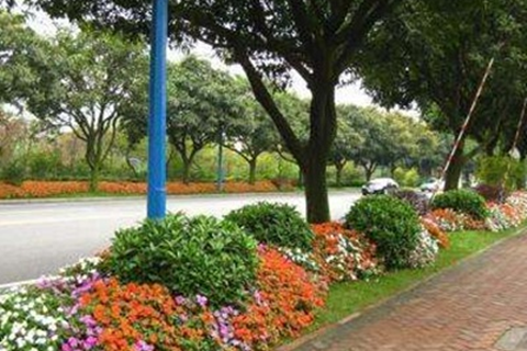 河北華清 河北華清