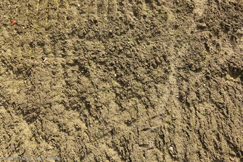 <a href=http://www.zjkjcn.com/turangjiance.html>土壤檢測(cè)</a> 土壤檢測(cè)