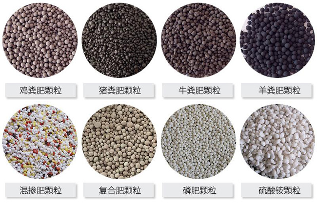 年產(chǎn)1-3萬(wàn)噸小型有機(jī)肥生產(chǎn)線大概要多少錢?(圖2) 有機(jī)肥成品顆粒展示